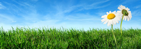 green_cleaning