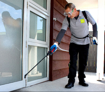 Spraying for moss, mould, and lichen – CrestClean Property Caretaking Service